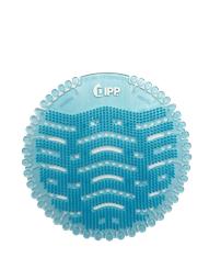 DIPP N°8008 | 1 STKS